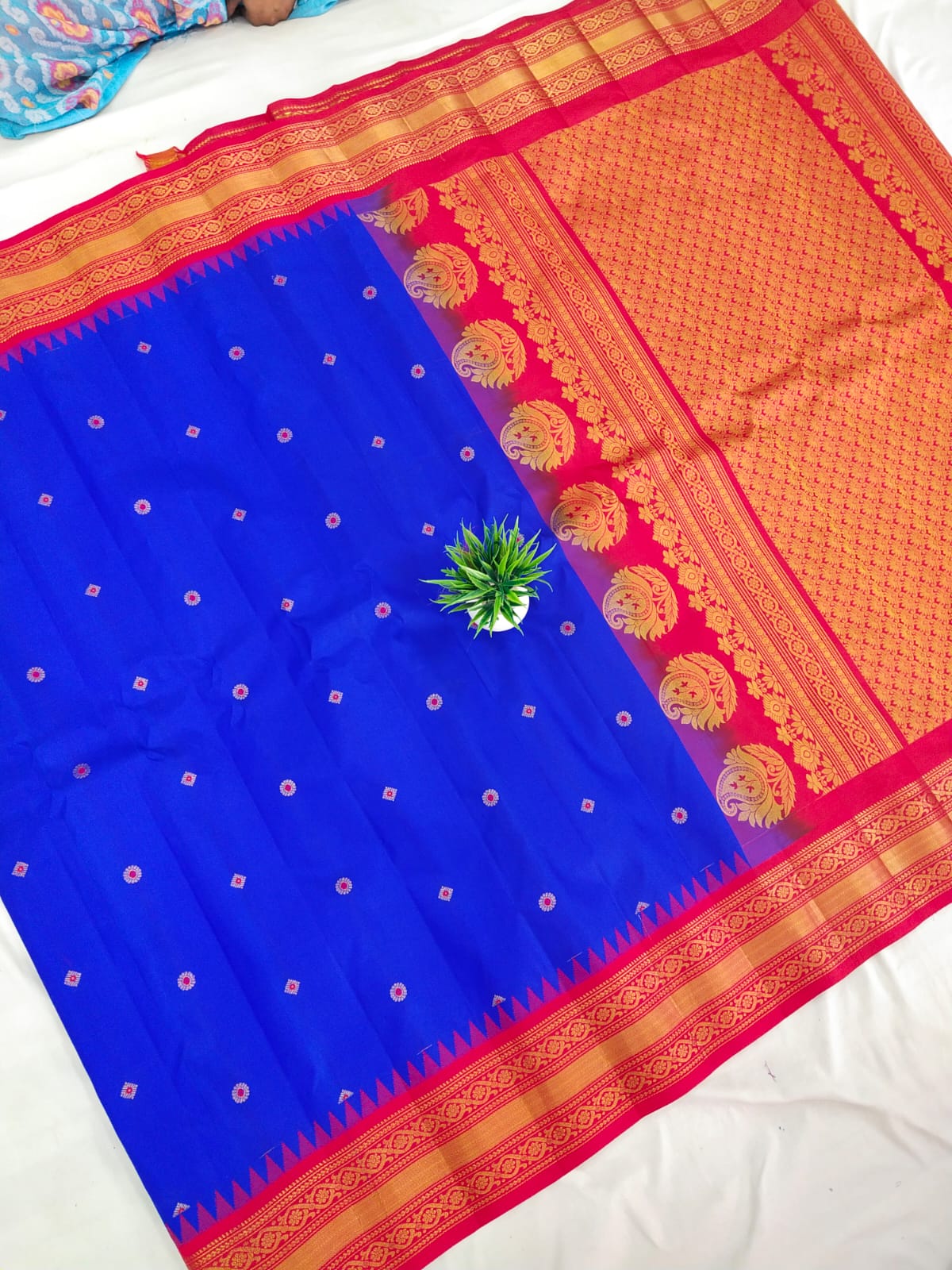 Gadwal Pure Silk small border pl sarees 16-01-25