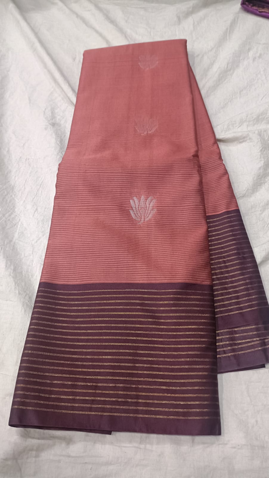 GADWAL SECO BORDER LINES SAREES 150325 S1