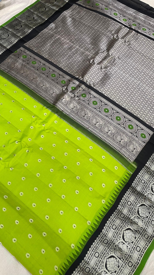 Gadwal Pure Silk Traditional Big Border PL Sarees S1-29-08-24